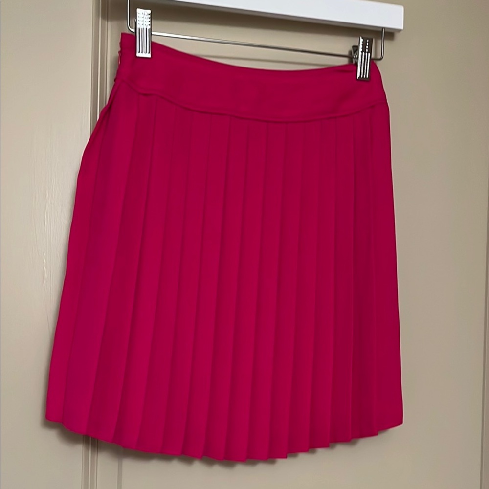 EXPRESS Elegant Pink Pleated Skirt